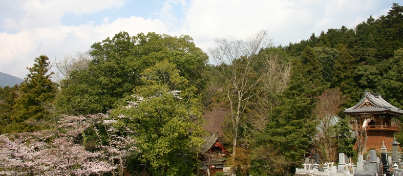 img_5715.jpg